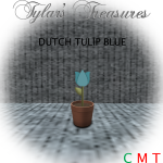 .TT. DUTCH TULIP BLUE MP AD